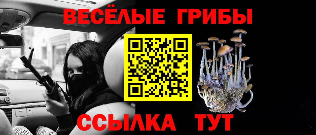 дарнет шоп  Галлюциногенные грибы MAGIC MUSHROOMS  Псилоцибиновые грибы мицелий  Вход с VPN  Королёв 